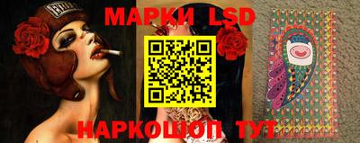 spice Кунгур