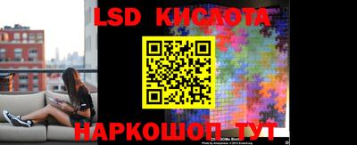 стаф Кулебаки