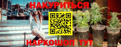 стаф Кулебаки