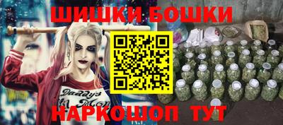 стаф Кулебаки
