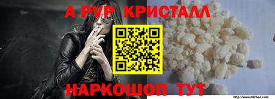 spice Кунгур