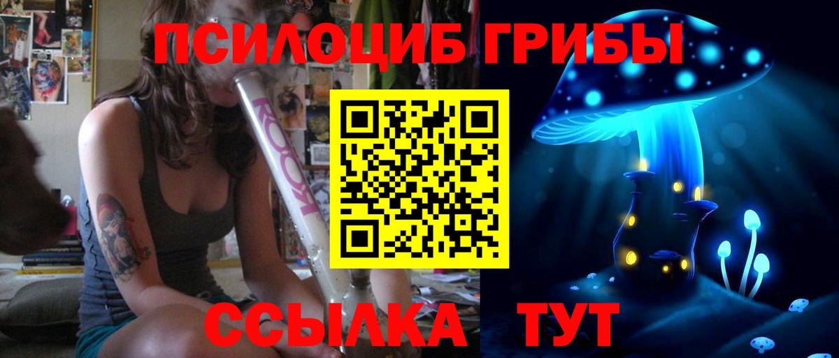 где купить наркоту  Псилоцибиновые грибы Psilocybe  Вход с VPN  Галлюциногенные грибы GOLDEN TEACHER  Дербент 